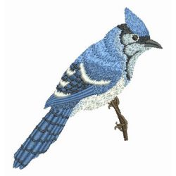 Blue Jay 2 01 machine embroidery designs