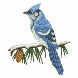 Blue Jay 2 02 machine embroidery designs