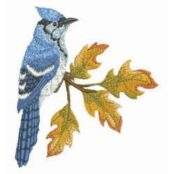 Blue Jay 2 03 machine embroidery designs