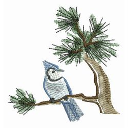 Blue Jay 2 04 machine embroidery designs
