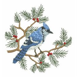 Blue Jay 2 06 machine embroidery designs