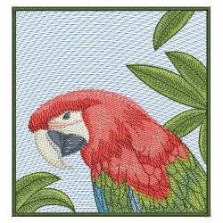 Colorful Parrots(Md) machine embroidery designs