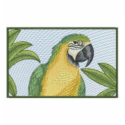 Colorful Parrots 02(Lg) machine embroidery designs