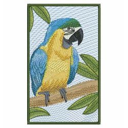 Colorful Parrots 04(Lg) machine embroidery designs