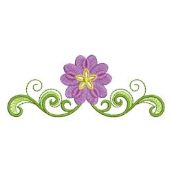 Heirloom Cineraria 06