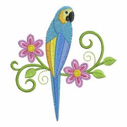 Cute Colorful Parrots 05