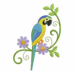 Cute Colorful Parrots 09 machine embroidery designs