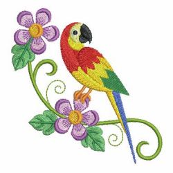 Cute Colorful Parrots 10