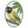 Colorful Parrots 05(Lg)