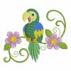 Cute Colorful Parrots