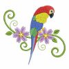 Cute Colorful Parrots 07