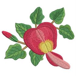 Australian Wildflowers 10 machine embroidery designs