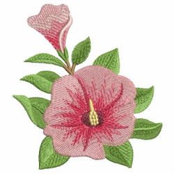 Australian Wildflowers 11 machine embroidery designs