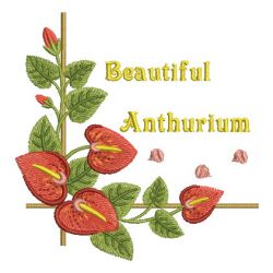 Beautiful Anthurium 06