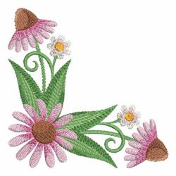 Echinacea 08
