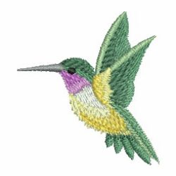 Watercolor Hummingbird machine embroidery designs