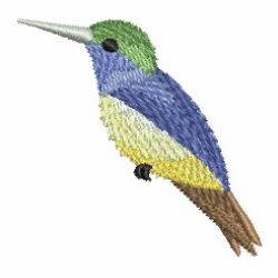 Watercolor Hummingbird 02 machine embroidery designs