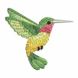 Watercolor Hummingbird 03
