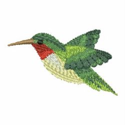 Watercolor Hummingbird 06 machine embroidery designs