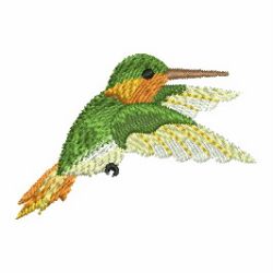 Watercolor Hummingbird 08 machine embroidery designs