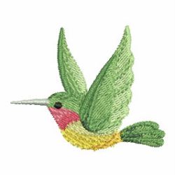 Watercolor Hummingbird 09
