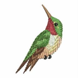 Watercolor Hummingbird 10 machine embroidery designs