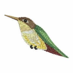 Watercolor Hummingbird 15