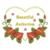 Beautiful Anthurium 05