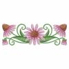 Echinacea 07