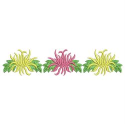 Chrysanthemum 04