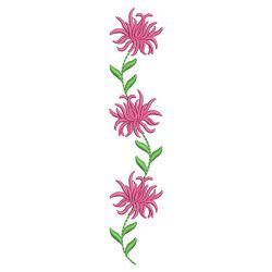 Chrysanthemum 07