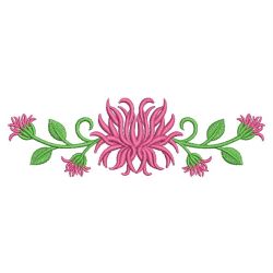 Chrysanthemum 09