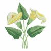 Watercolor Calla Lily 01(Md)