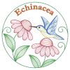 Rippled Echinacea 09(Md)