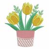 Spring Tulip 12