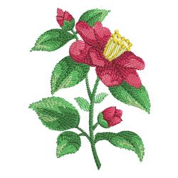 Watercolor Peony 03 machine embroidery designs