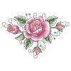Sketched Roses 03(Md)