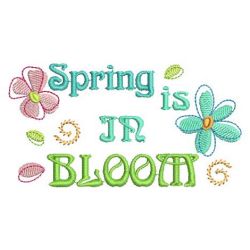 Spring 03(Sm)