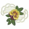 Pansy 04