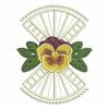 Pansy 07