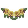 Pansy 14