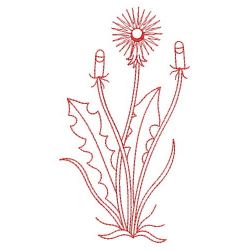 Redwork Dandelion 03(Md) machine embroidery designs