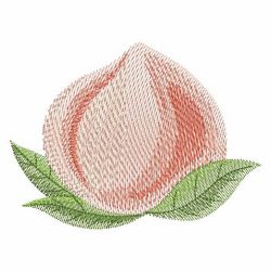 Watercolor Fruits 06(Md) machine embroidery designs