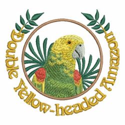Parrots 3 07