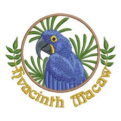 Parrots 3 10 machine embroidery designs