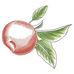 Watercolor Fruits 3 02(Md) machine embroidery designs