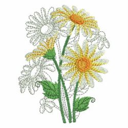 Heirloom Daisy 07