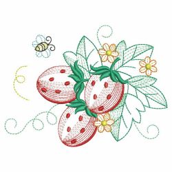 Heirloom Strawberry 06(Sm)