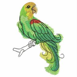 Watercolor Parrots 10(Lg)