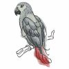Watercolor Parrots(Lg)